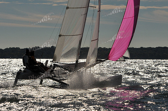2014 HPDO C 186