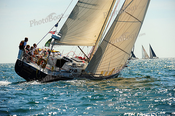 2014 NYYC Annual Regatta C 1233