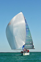 2013 Key West Race Week D 336