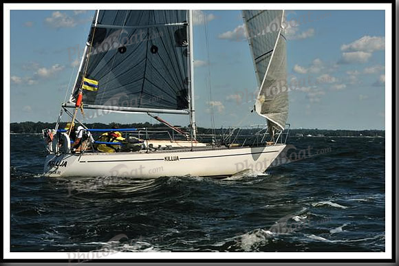 proof_2010_Vineyard_Race_0425