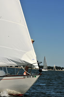 2010 Leukemia Cup 255