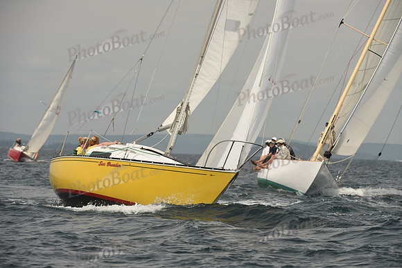 2016 Chester Race Week C_0694