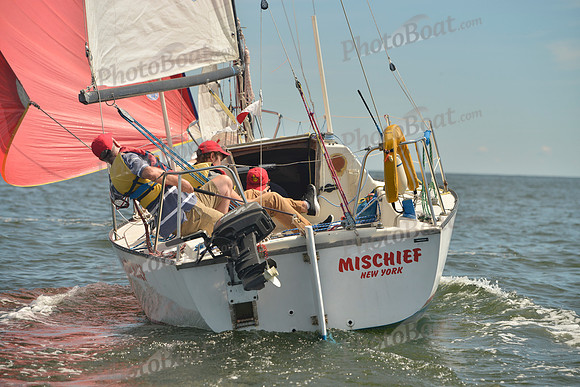 2016 Vineyard Race A_0378