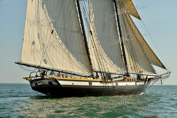 2017 St Petersburg Habana Race_1791
