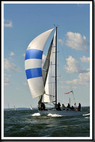 proof_2010_Vineyard_Race_1087
