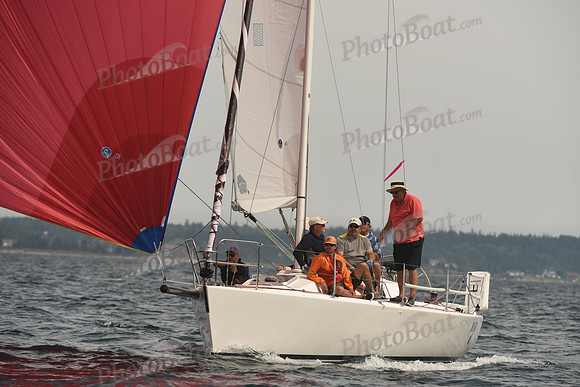 2016 Chester Race Week C_1578