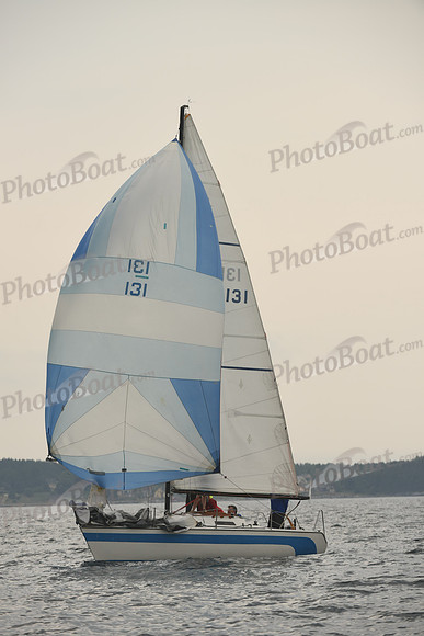 2016 Chester Race Week D_0775