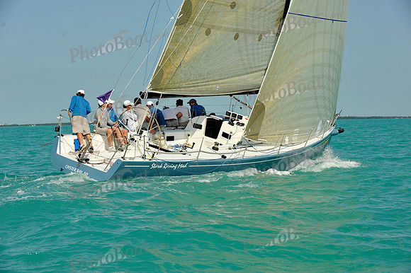 2010KeyWestRaceWeekB 1005