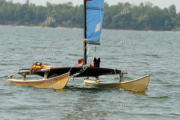 2012 Gov Cup D 278