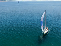 DJI_0565