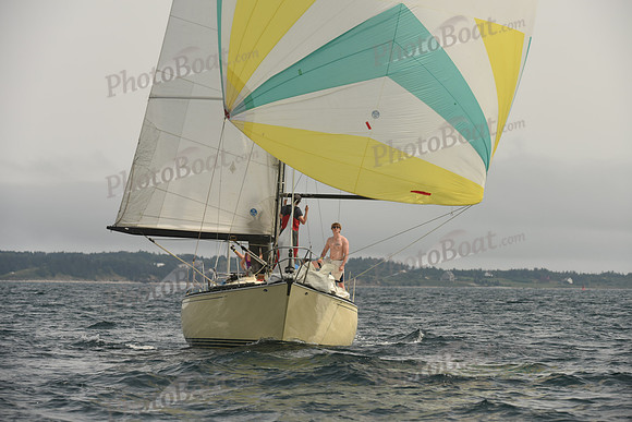 2016 Chester Race Week C_1702