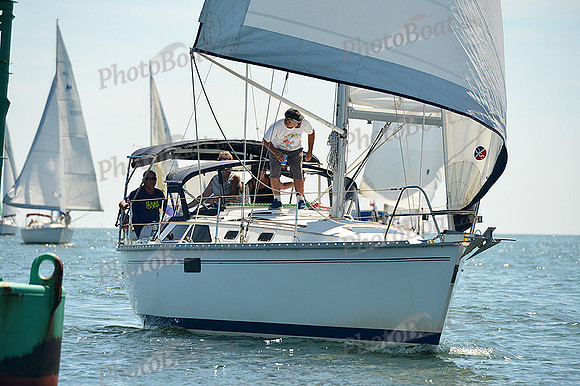 2015 Cape Charles Cup A 972