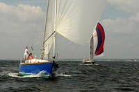 2013 Vineyard Race A 460