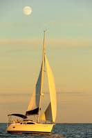2014 Denmark Race B 1318