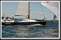 proof_2010_Vineyard_Race_1232