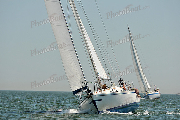 2013 Southern Bay Race Week C 1366