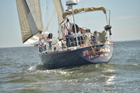 2016 Vineyard Race A_0390