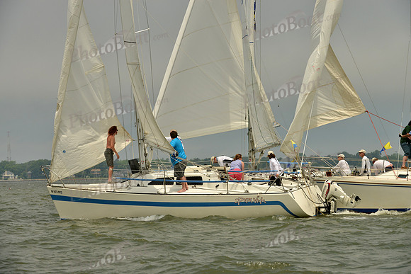 2016 Southern Bay Race Week A_0946