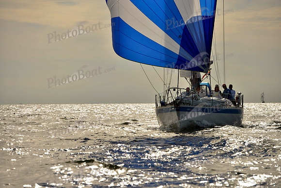 2017 Vineyard Race A_2279