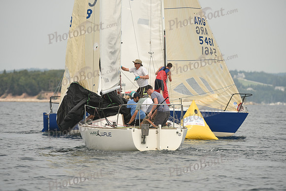 2016 Chester Race Week D_0262