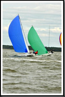 proof_2010_EScows_A 809