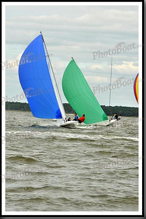 proof_2010_EScows_A 809