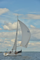 2016 Vineyard Race A_1172