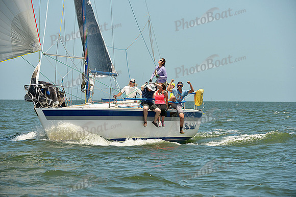 2015 Southern Bay Race Week C 1574