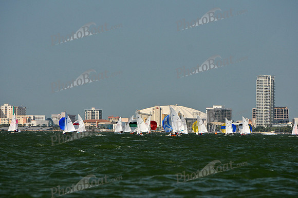 2012 Thistle Midwinters B 683