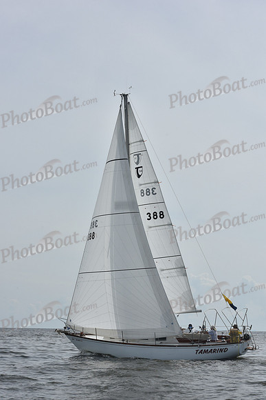 2019 Gov Cup A_0536
