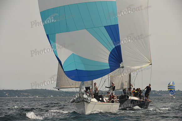 2016 Chester Race Week C_1531