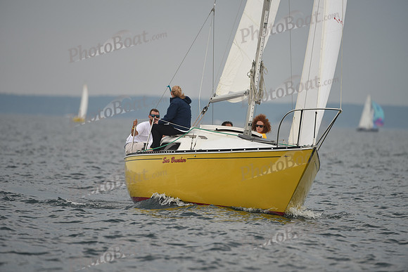2016 Chester Race Week D_0656