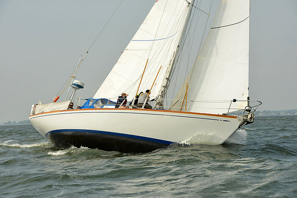 2015 Vineyard Race A 306
