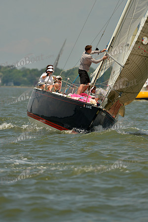2016 Southern Bay Race Week F_1257
