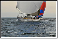 proof_2010 Block Island Race 1129