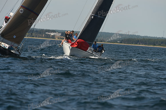 2016 Chester Race Week A_0394