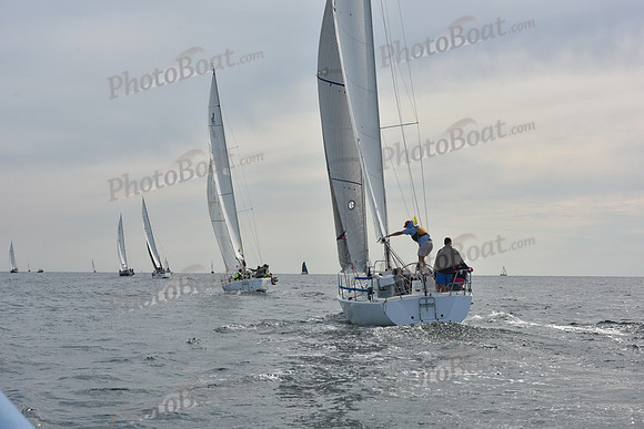 2019 Around Marthas Vineyard A_0653