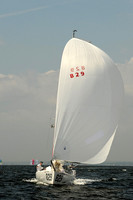2013 Vineyard Race A 804