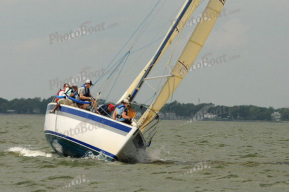 2012 Southern Bay Race Week A 2983