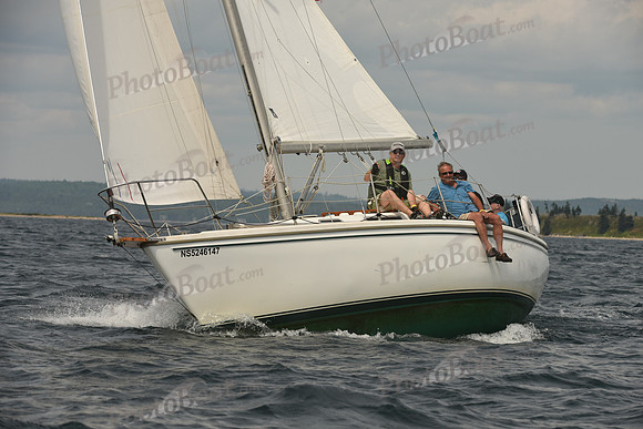 2016 Chester Race Week C_1277