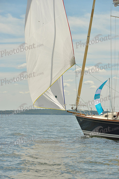 2016 Vineyard Race A_1047