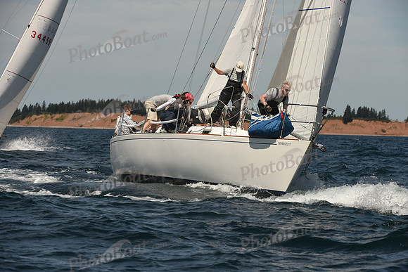 2016 Chester Race Week A_0260
