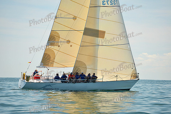 2015 Cape Charles Cup C 736