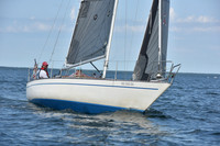 2019 Around Marthas Vineyard A_1341