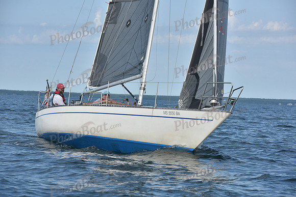 2019 Around Marthas Vineyard A_1341