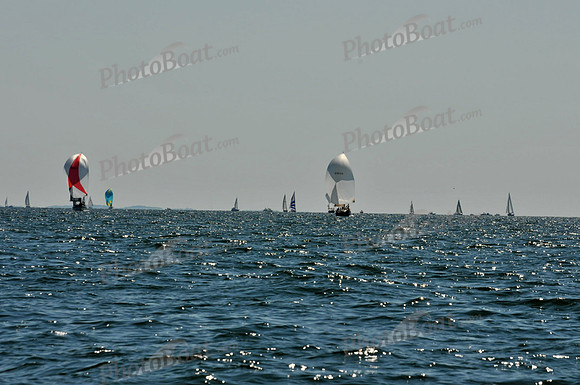 2010 Leukemia Cup B 711