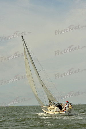 2016 Southern Bay Race Week G_0309