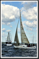 proof_2010_Vineyard_Race_0024