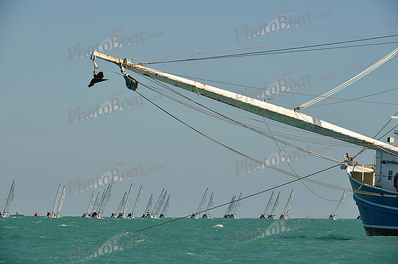 2014 Key West Race Week D 828