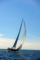 2014 Vineyard Race A 1884